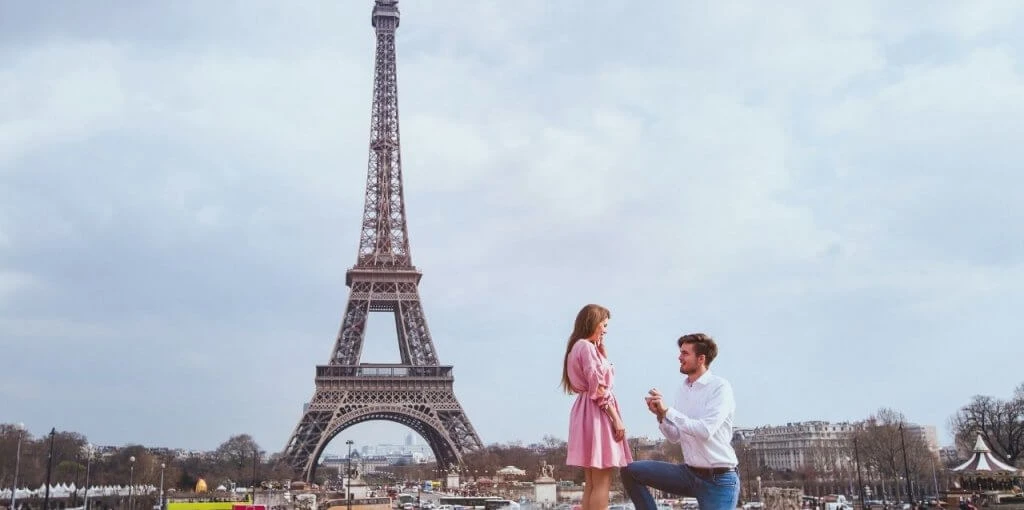 stella york collection launch