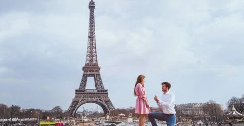 stella york collection launch